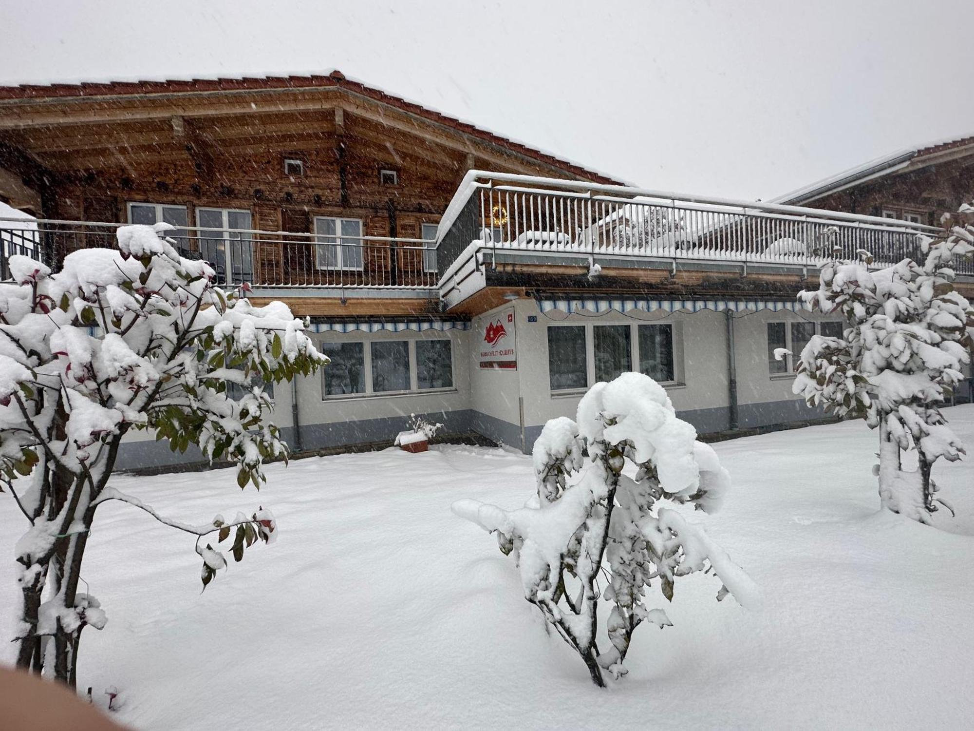 Swiss Chalet Holidays Ringgenberg Extérieur photo